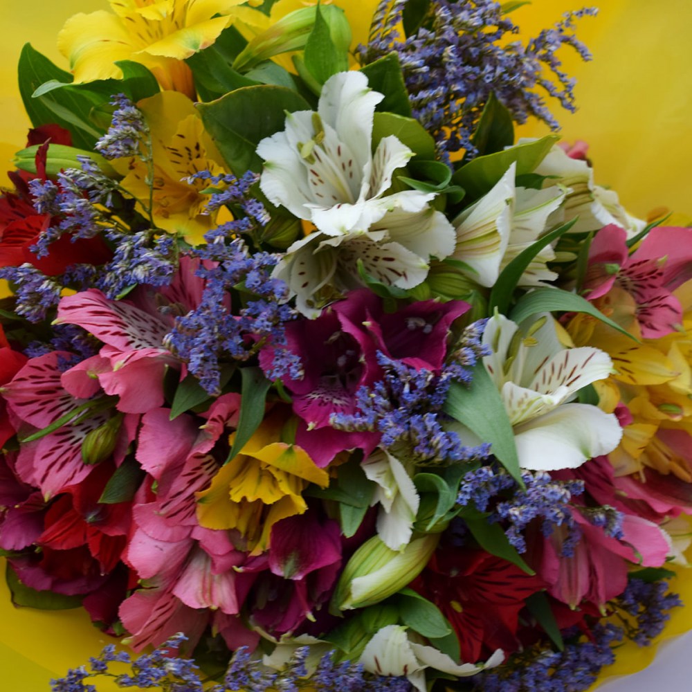 dce88112ce9a069706692668d1be4e3a