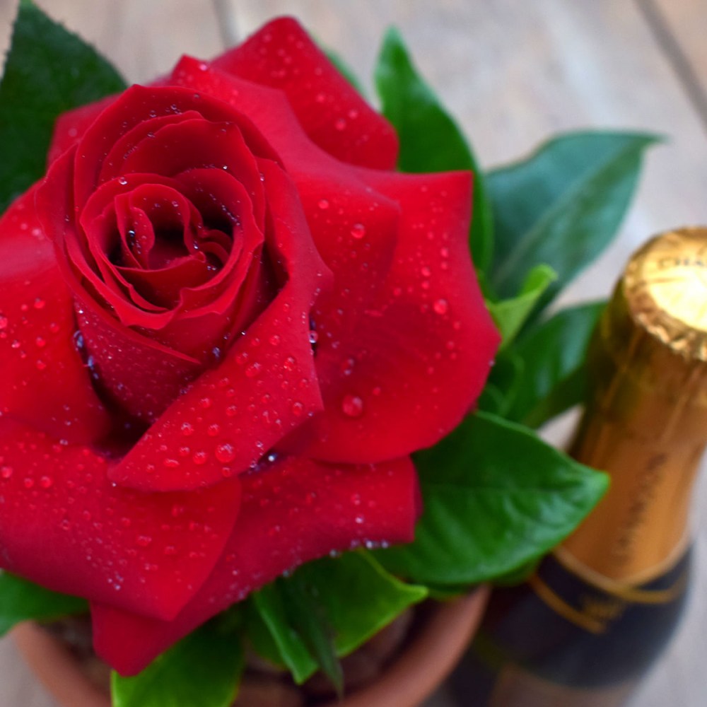 dedff2e99f5e8f4acf829e85673f5316