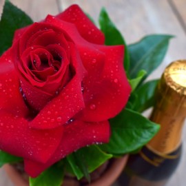 dedff2e99f5e8f4acf829e85673f5316