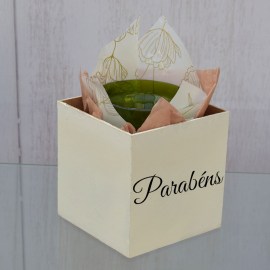 e4070c21d4d121d21724be9c77ba70db