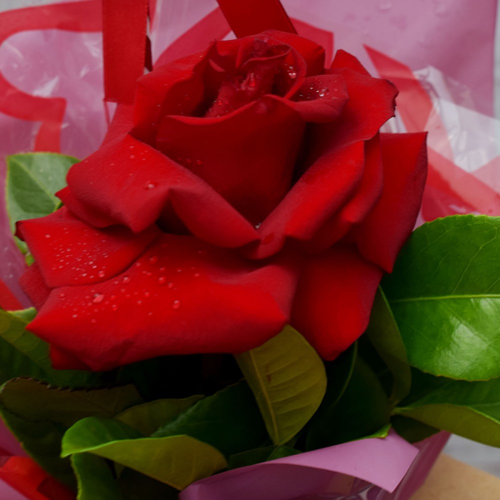 e48a17d2be68a4807e19bc4caddd87a0