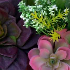 e74cd17da5e1f8ed0e9c3dfd5eeb9d07