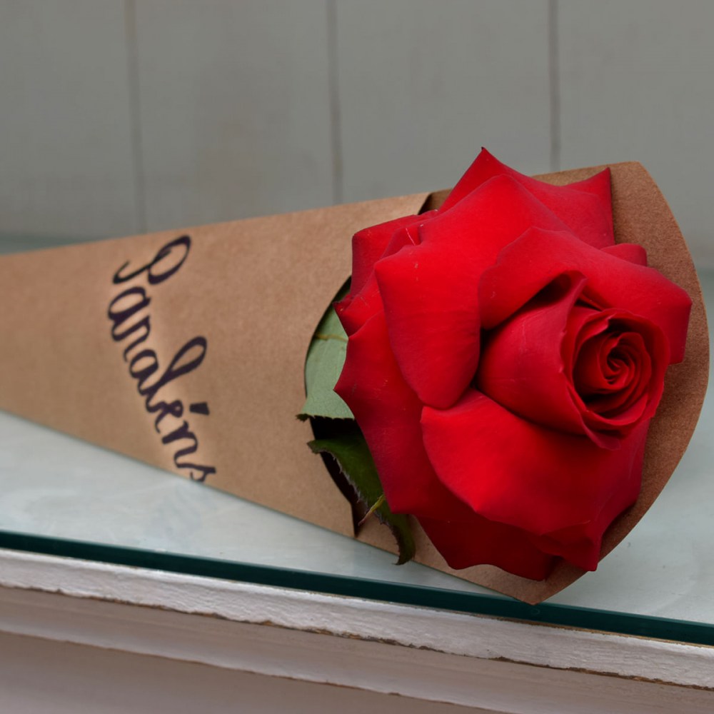 e918e530dda3bf53476df38e642ae9b2