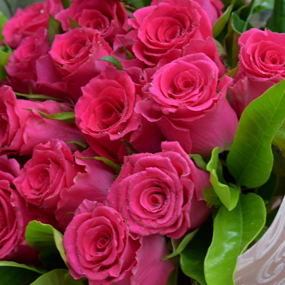 ea63fe8e7fcbdca05be0085607609cb2