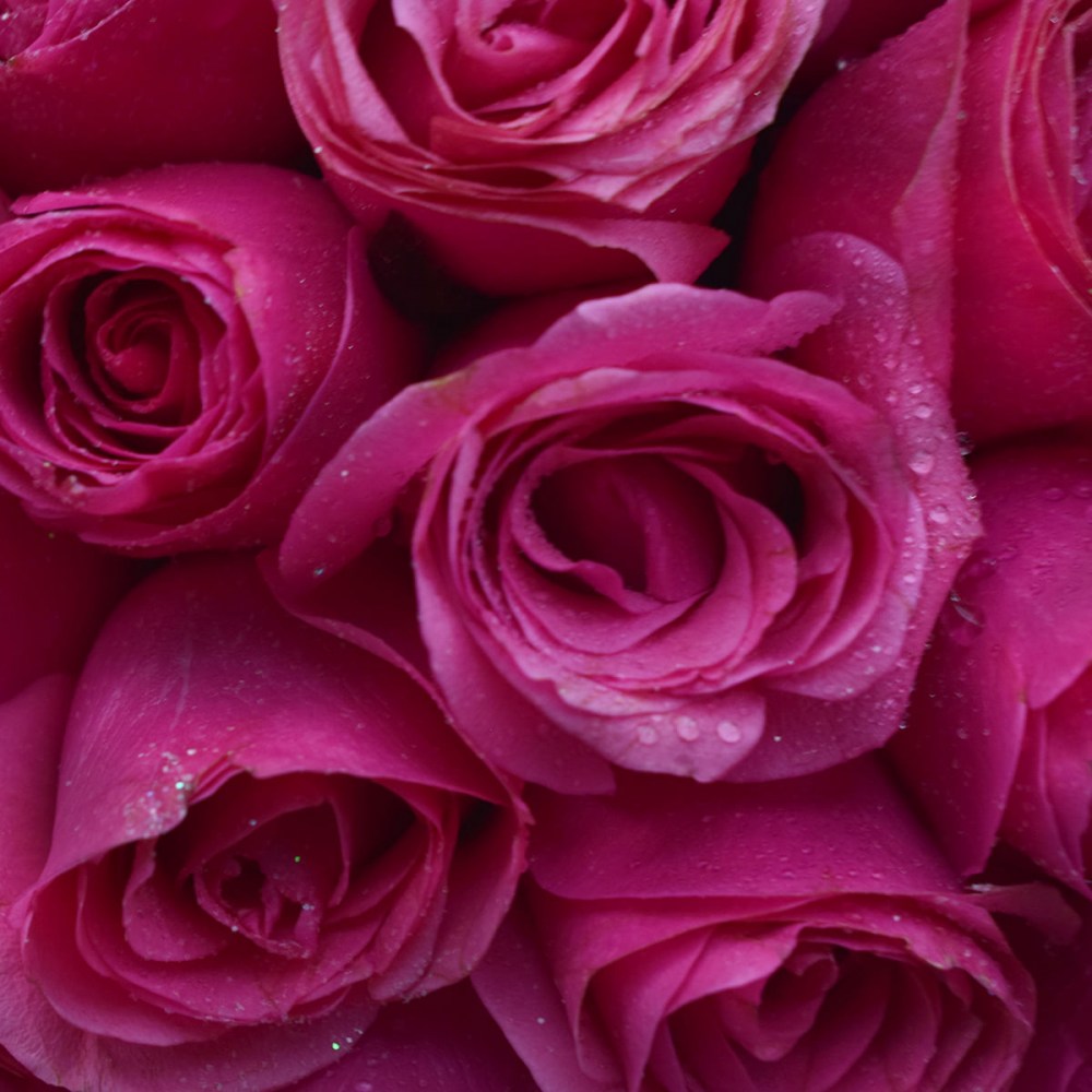 ee67dcdab49c7197c73491697de55090