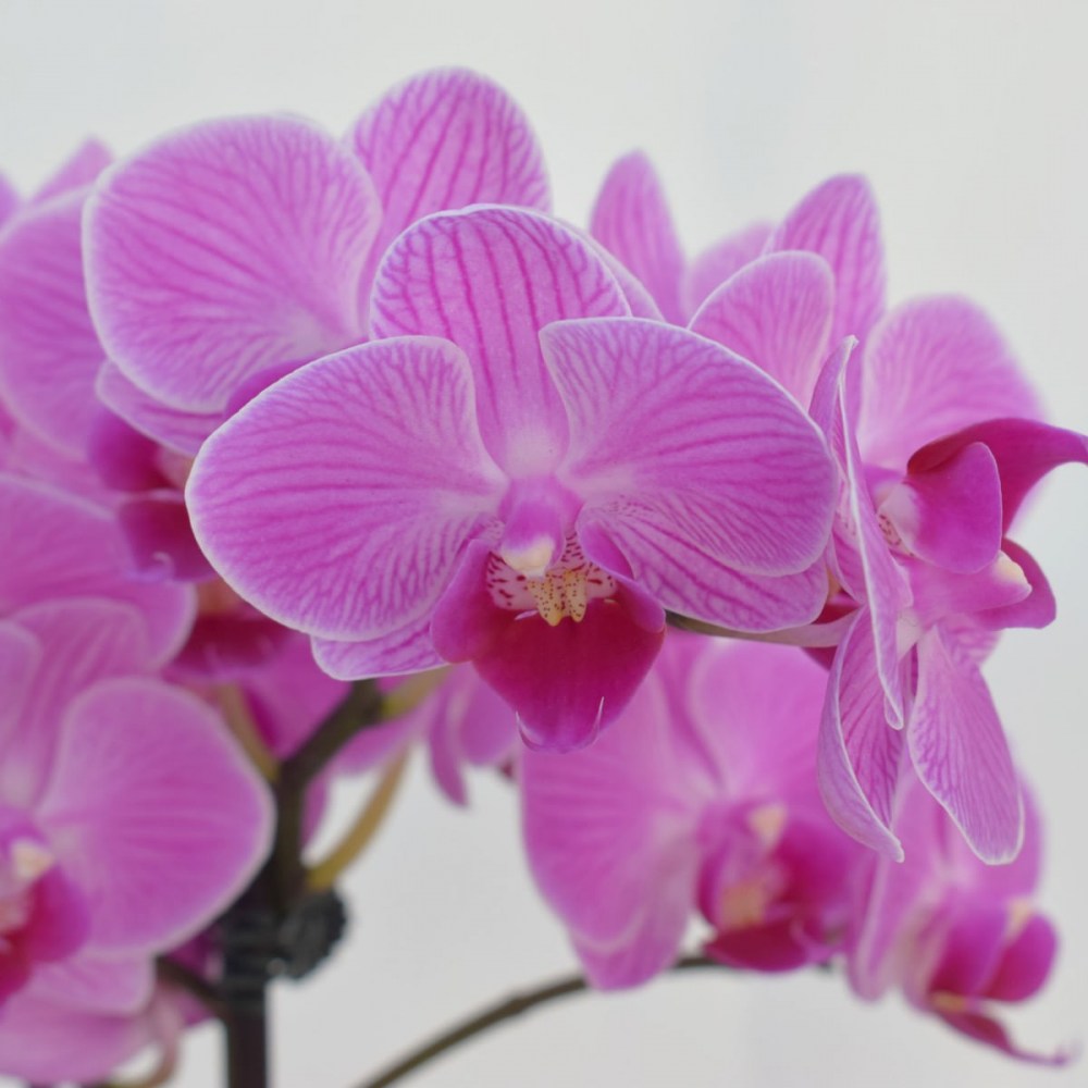 f101962264de88094e9b40b65982a927