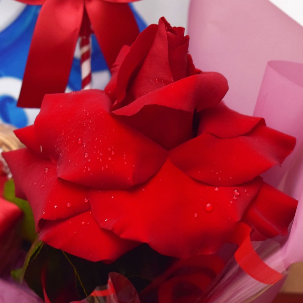 f1c6493a36513b8fdc34781eae33b1a9