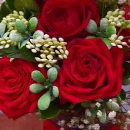 f50eadd5df4e013611484abfa31a4746