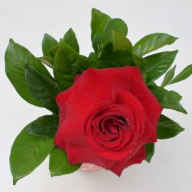 f5160dc488d6d55913f72a20b91fe752