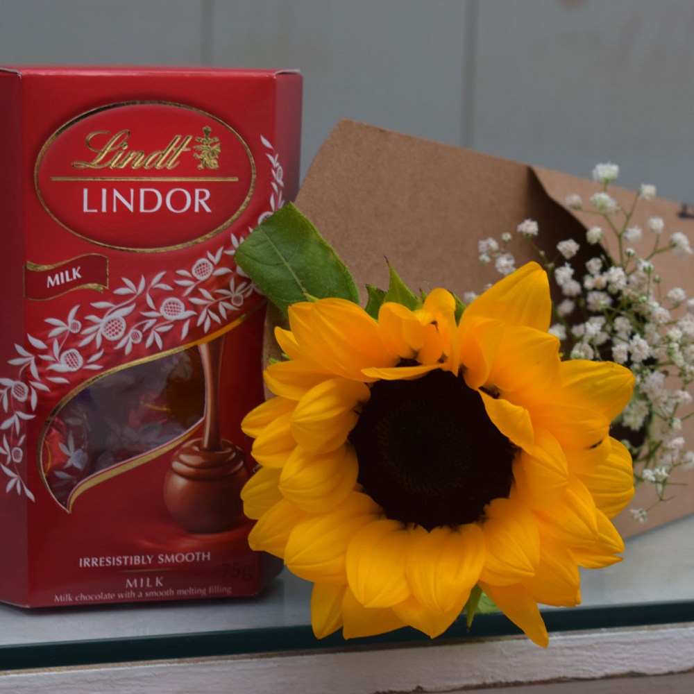 f61f7ae7d659b57e7ddf499fd4f40813