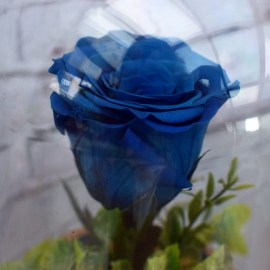 f6541fe30273679c91b68f0be1d0b041