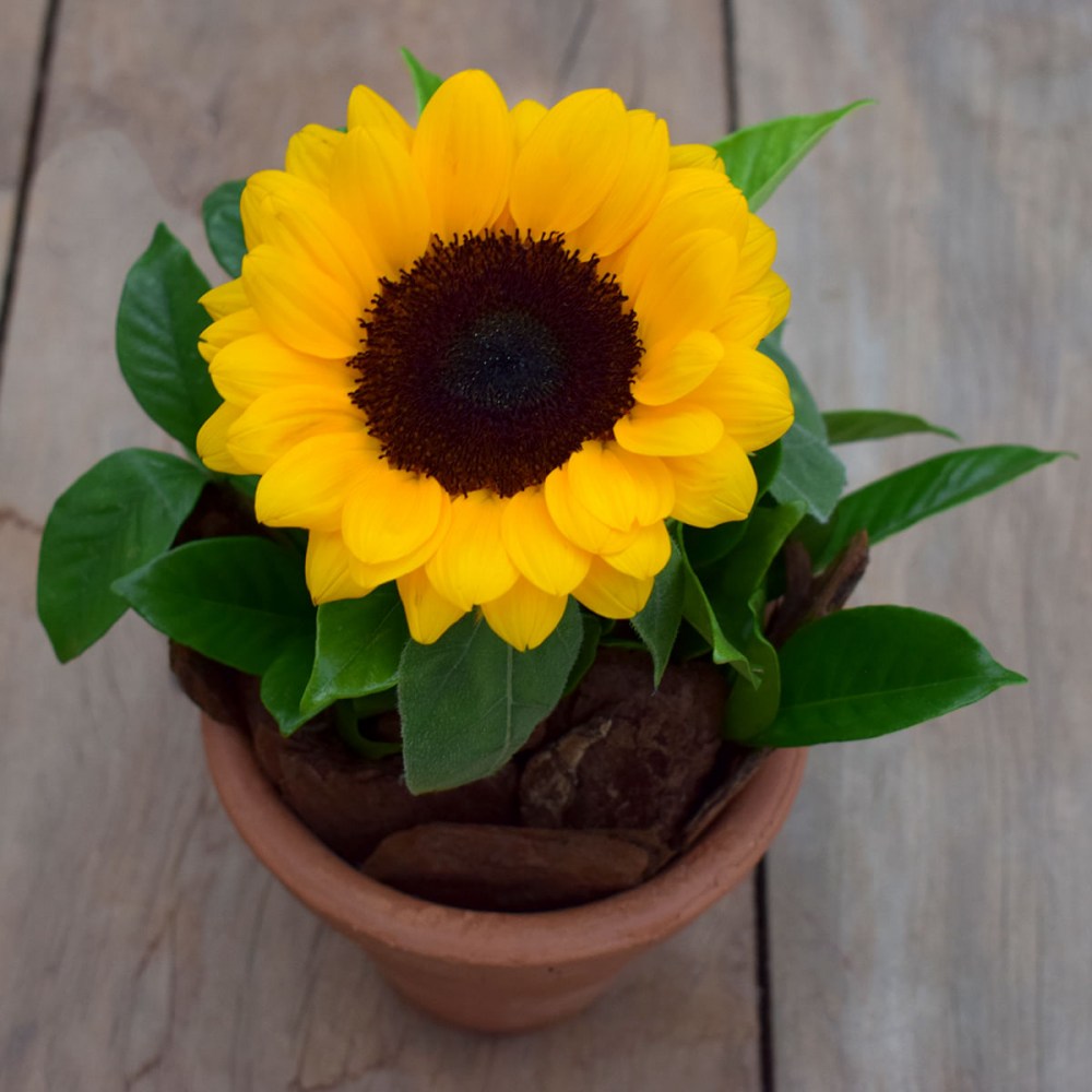 f8ab7b1676dfc337dbe39ff32a3cf632