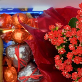 f98a56e569669b6b9f43975c36c5fa58