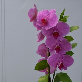 fa610094b4f023cae57db043aa415fa8