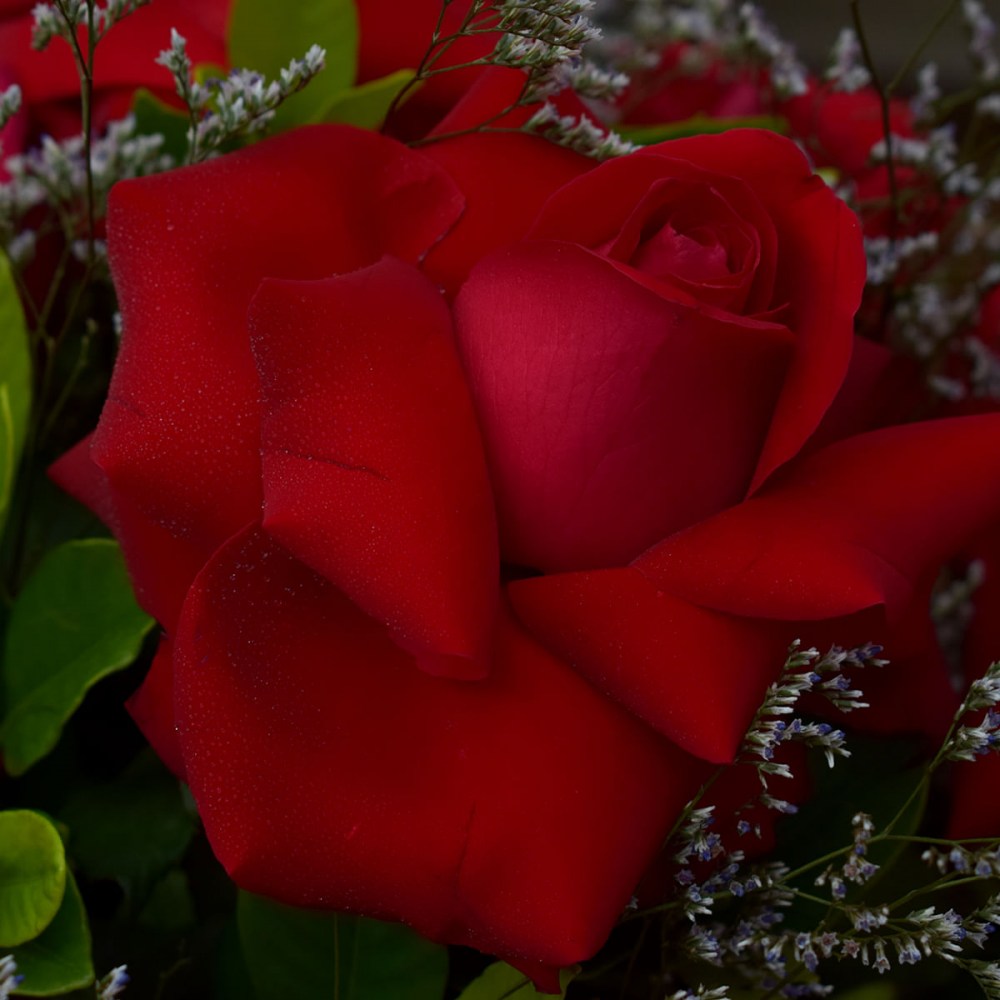 fc02344b82b349df1d3a4cc255aca3fd