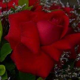 fc02344b82b349df1d3a4cc255aca3fd