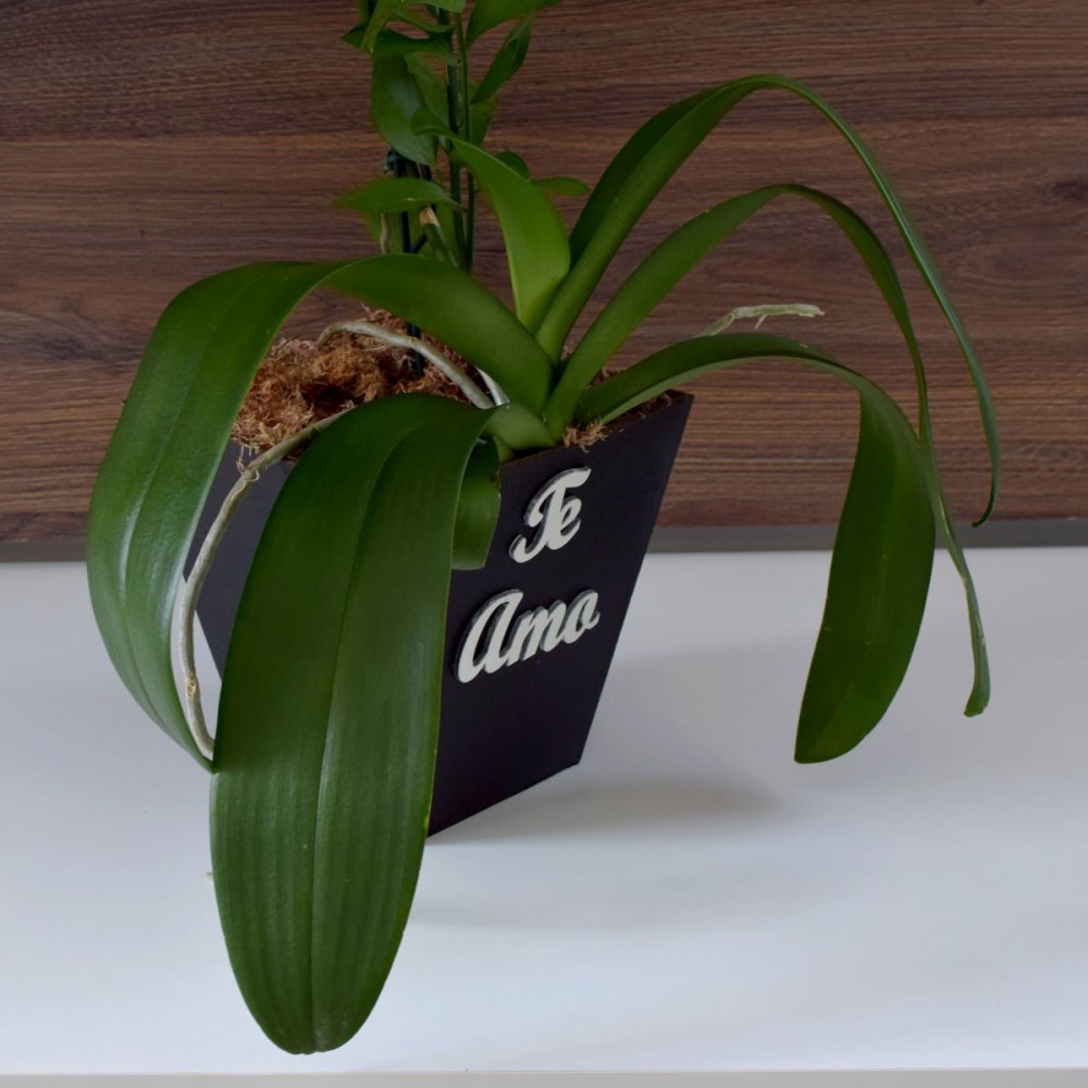 fec7538d2685f024b61fe34b3d7f35ae