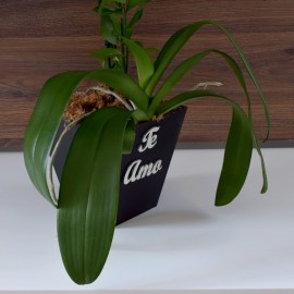 fec7538d2685f024b61fe34b3d7f35ae