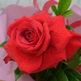 fee6df884aada8270ae8ee7fbf851e42