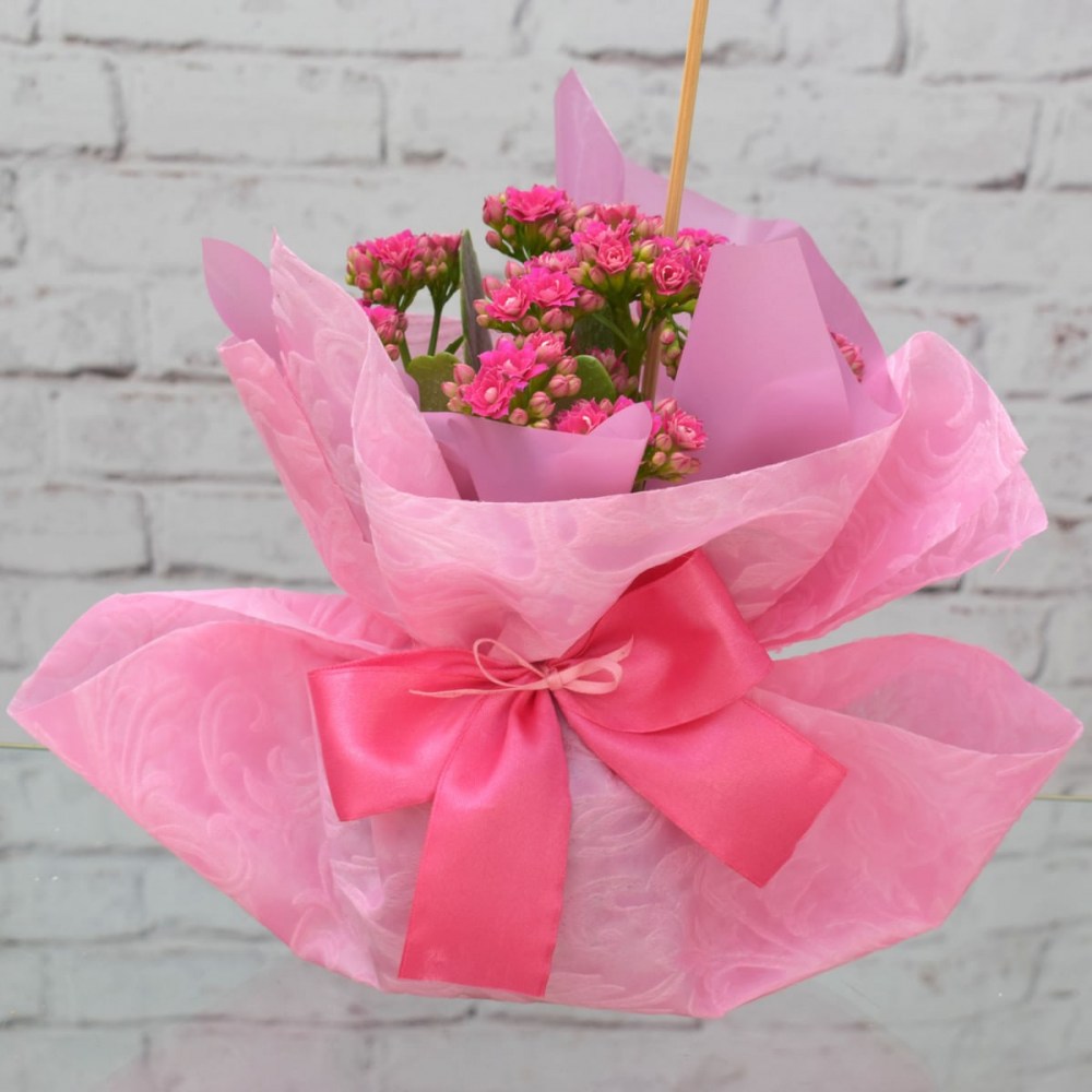 fff60ff16d5771b8aceaf18f54b52362